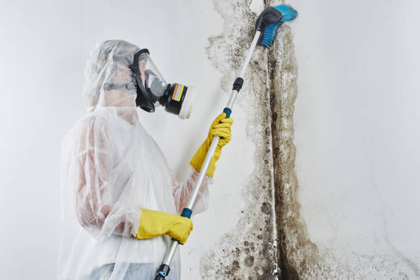 Best Water Damage Restoration  in Brass Castle, NJ